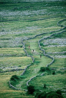 Ireland-Burren-Hiking - Burren Way